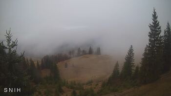 Ясіня 23 грудня 2025 року, 2025-12-23 10:00