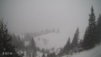 Ясіня 3 січня 2026 року, 2026-01-03 10:00