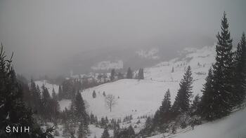 Ясіня 3 січня 2026 року, 2026-01-03 13:00