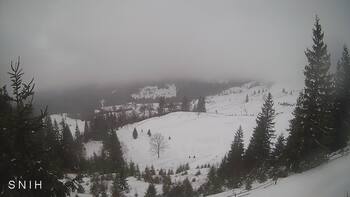 Ясіня 6 січня 2026 року, 2026-01-06 13:00