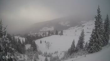 Ясіня 9 січня 2026 року, 2026-01-09 13:00