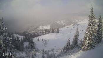 Jasinia 10 styczeń 2026 rok 10:00