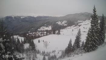 Ясіня 13 січня 2026 року, 2026-01-13 10:00