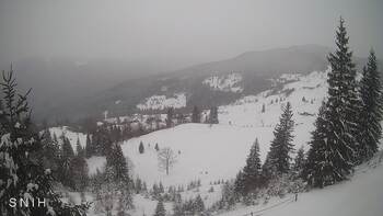 Ясіня 13 січня 2026 року, 2026-01-13 13:00