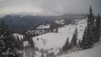 Ясіня 14 січня 2026 року, 2026-01-14 13:00