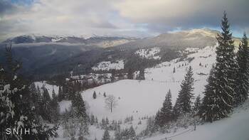 Ясіня 15 січня 2026 року, 2026-01-15 10:00