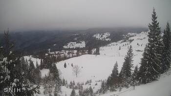 Ясіня 16 січня 2026 року, 2026-01-16 10:00