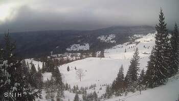 Ясіня 16 січня 2026 року, 2026-01-16 13:00