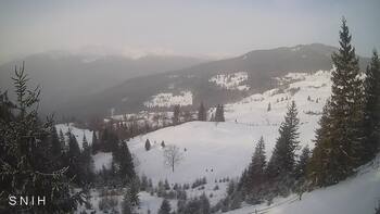 Ясіня 23 січня 2026 року, 2026-01-23 10:00