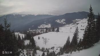 Ясіня 23 січня 2026 року, 2026-01-23 13:00