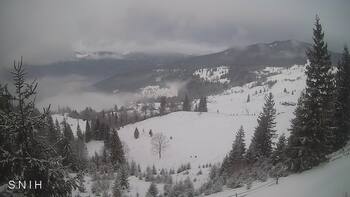 Ясіня 24 січня 2026 року, 2026-01-24 10:00