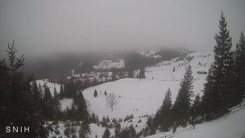 Ясіня 24 січня 2026 року, 2026-01-24 13:00