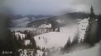 Ясіня 24 січня 2026 року, 2026-01-24 16:00