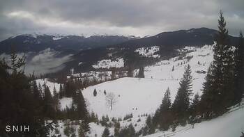 Ясіня 25 січня 2026 року, 2026-01-25 13:00