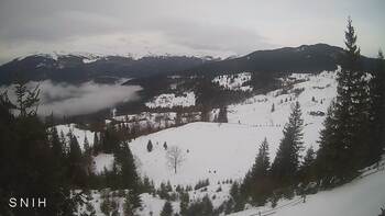 Ясіня 26 січня 2026 року, 2026-01-26 10:00