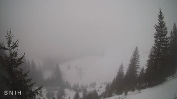 Ясіня 27 січня 2026 року, 2026-01-27 10:00