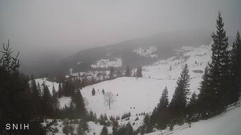 Ясіня 28 січня 2026 року, 2026-01-28 13:00