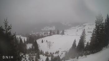 Ясіня 28 січня 2026 року, 2026-01-28 16:00