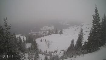 Ясіня 29 січня 2026 року, 2026-01-29 10:00