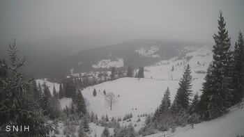 Ясіня 29 січня 2026 року, 2026-01-29 13:00