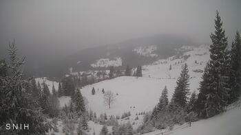 Ясіня 29 січня 2026 року, 2026-01-29 16:00