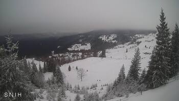 Ясіня 30 січня 2026 року, 2026-01-30 13:00