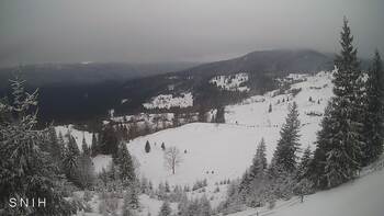 Ясіня 31 січня 2026 року, 2026-01-31 13:00