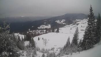 Ясіня 31 січня 2026 року, 2026-01-31 16:00