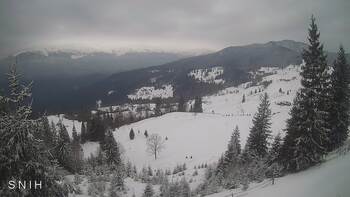 Yasinia 1 february 2026 year, 2026-02-01 13:00