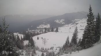 Ясіня 2 лютого 2026 року 10:00