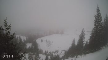 Yasinia 4 february 2026 year, 2026-02-04 13:00