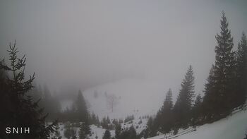 Ясіня 7 лютого 2026 року 10:00