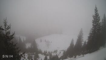 Yasinia 8 february 2026 year, 2026-02-08 13:00