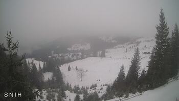 Yasinia 8 february 2026 year, 2026-02-08 16:00