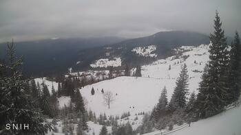 Jasinia 9 luty 2026 rok 10:00