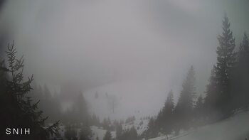 Yasinia 12 february 2026 year, 2026-02-12 10:00