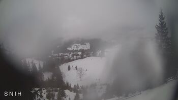 Yasinia 12 february 2026 year, 2026-02-12 13:00