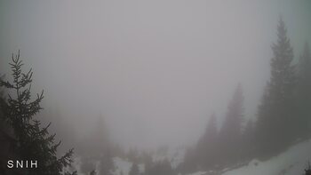 Yasinia 15 february 2026 year, 2026-02-15 10:00