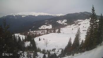 Yasinia 17 february 2026 year, 2026-02-17 10:00