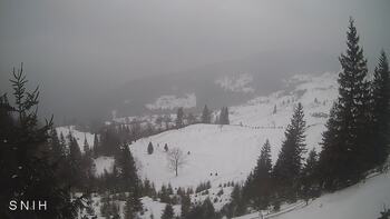 Yasinia 17 february 2026 year, 2026-02-17 16:00