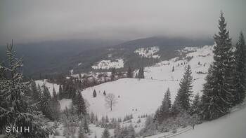 Yasinia 20 february 2026 year 10:00