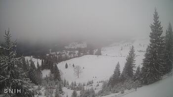 Yasinia 20 february 2026 year 13:00