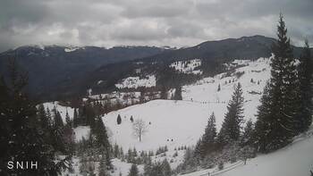 Jasinia 21 luty 2026 rok, 2026-02-21 13:00