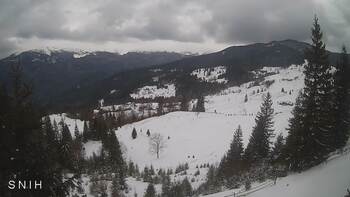 Ясіня 21 лютого 2026 року, 2026-02-21 16:00