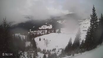 Ясіня 23 лютого 2026 року, 2026-02-23 10:00