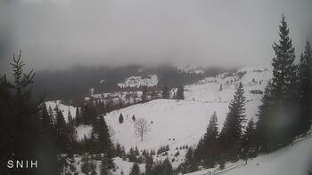 Ясіня 23 лютого 2026 року, 2026-02-23 13:00