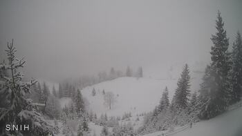 Ясіня 24 лютого 2026 року, 2026-02-24 10:00