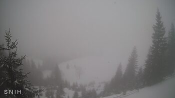 Ясіня 24 лютого 2026 року, 2026-02-24 13:00