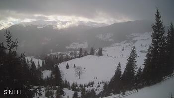 Jasinia 24 luty 2026 rok, 2026-02-24 16:00