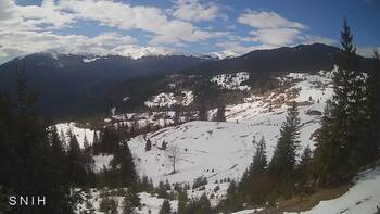 Ясіня 3 березня 2026 року, 2026-03-03 13:00